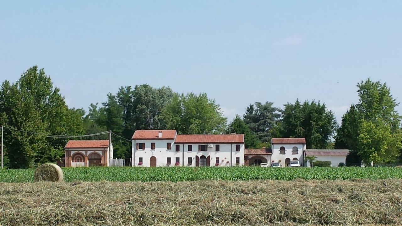Roncoferraro La Casa Delle Rondini Bed & Breakfast エクステリア 写真